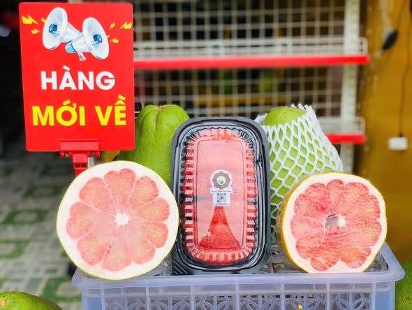 Thùng 6 Trái Bưởi Ruby Cô Hai Trà Vinh — Tuyệt Phẩm Quà Tặng Tinh Gọn Từ Vùng Đất Di Sản
